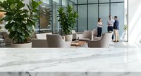 Modern office lobby with marble floor, beige seating area, large plants and business people meeting in bright corporate interior space for professional use.