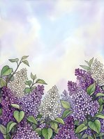 Lilac flowers in purple and white with green foliage arranged at bottom border on soft pastel watercolor background, isolated design element for greeting cards, invitations, and spring-themed projects.