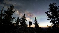 Silhouetted family standing together under starry night sky with milky way galaxy visible above forest trees at dusk, perfect for travel and nature themes.