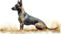 Majestic German Shepherd in alert pose painted in soft watercolor style against neutral background, showing strength and nobility of breed. Suitable for pet-related designs.