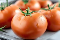 Fresh ripe red tomatoes with water droplets on white surface, organic vegetables for healthy cooking and nutrition, farm produce ready for culinary use.