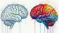 Two human brains side by side showing contrast between analytical and creative thinking with colorful watercolor paint drips on white background.