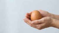 Hands holding single brown egg against white background, suitable for food, nutrition, cooking, and agricultural marketing materials.