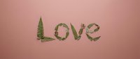 Natural green fern leaves arranged to spell love word on soft pink background for romantic botanical design and eco-friendly wedding decoration concepts.