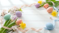 Easter eggs in pastel colors with spring tulips and daffodils on white wooden background. Festive holiday decoration with ribbon and blossoms for greeting cards.