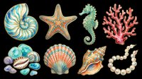 Nautical sea creatures and shells collection isolated on transparent background, ready for t-shirt design, clipart, stickers, sublimation and print-on-demand products.