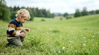 Young boy with blonde curly hair wearing striped shirt crouching in green meadow with wildflowers, exploring nature outdoors on sunny day.