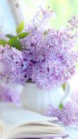 Fresh lilac flowers in white ceramic vase next to open book on light background, soft focus spring composition with gentle purple blooms and green leaves.