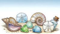 Seashells sand dollar nautilus with colorful sea glass and message bottle on beach sand coastal marine collection for summer vacation decor.