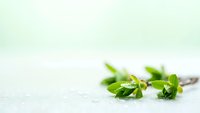 Fresh green mint leaves scattered on white surface with soft natural lighting for culinary and wellness applications.