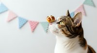 Brown tabby and white cat looking up at golden bell toy with pastel bunting flags in background, celebrating pet birthday party or festive occasion.