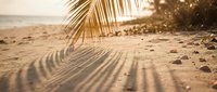 Tropical beach scene with palm frond casting shadows on golden sand during sunset, creating peaceful vacation atmosphere for travel and relaxation concepts.