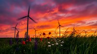 Wind turbines spinning in rural field at dramatic sunset with wildflowers blooming in foreground, renewable energy landscape for sustainable power generation and environmental conservation projects.