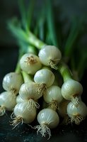Fresh white pearl onions with green stems on dark background, macro food photography perfect for restaurant menu, cookbook or culinary blog design.