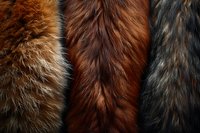 Natural fur texture in brown, red and black tones showing detailed animal hair pattern macro photography, luxury material surface close up view for fashion design background.
