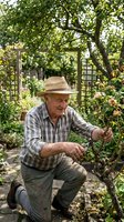 Senior Caucasian man in straw hat and plaid shirt pruning roses in lush garden with trellis. Active retirement lifestyle and organic gardening hobby.