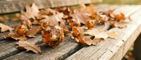 Spiky seed pods and dried autumn leaves scattered on weathered wooden surface, seasonal nature composition for fall designs and backgrounds.