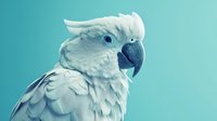 White cockatoo with bright blue eyes against turquoise background, head turned in profile showing detailed feathers and distinctive curved beak. Exotic pet portrait.