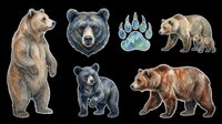 Grizzly bear, black bear, and paw print isolated on transparent background, ready for t-shirt design, clipart, stickers, sublimation, and print-on-demand products.
