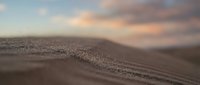 Macro close-up of sand dunes with soft golden sunlight creating texture and depth, suitable for backgrounds and nature designs.
