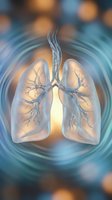 Translucent lungs with bronchial tree network displayed against warm and cool toned blurred background, suitable for medical education, healthcare presentations, respiratory system illustrations, and anatomical learning materials.
