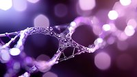Spider web covered in morning dew drops against purple bokeh background creates magical atmosphere with sparkling water droplets and soft focus light effects.