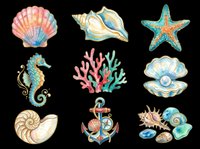 Watercolor sea life collection featuring shell, conch, starfish, seahorse, coral, pearl, nautilus, anchor and stones isolated on transparent background. Ready for t-shirt design, clipart, stickers, sublimation and print-on-demand projects.