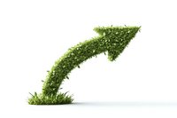 Green arrow shaped plant growing upward on white background, symbolizing sustainable growth, environmental progress and eco-friendly business development.