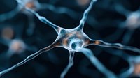 Microscopic view of neuron cell with synaptic connections on dark background showing neural network activity and brain cell communication in medical science.