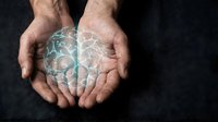 Adult male hands with visible veins and skin texture holding glowing brain illustration overlay, representing neurology, medical science, mental health, and cognitive function concepts.