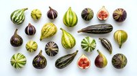 Assorted fresh striped gourds and squashes arranged on white background, including green, yellow and purple varieties. Flat lay composition for culinary, harvest and produce design projects.