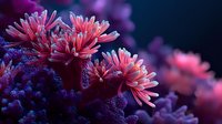 Vibrant coral polyps with pink tentacles extending from purple reef structure against dark blue underwater background.