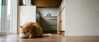 Orange tabby cat sitting on wooden floor in modern kitchen interior with white cabinets and natural lighting for pet lifestyle content.
