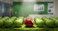 Single red apple with price tag stands out among green apples in modern office meeting room with charts on wall representing uniqueness and business success.