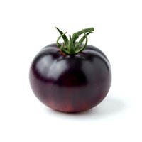 Dark purple tomato with green stem isolated on white background, suitable for food, cooking, and culinary design projects.