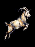 Energetic goat leaping with curved horns, isolated on transparent background. Ready for t-shirt designs, clipart, stickers, print-on-demand products, and sublimation projects.