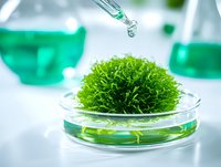 Laboratory research with green moss sample in petri dish and pipette dropping liquid for botanical science experiment and plant biology study.
