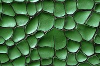 Green leather texture with embossed cellular pattern showing organic shapes and deep grooves, suitable for luxury design backgrounds and fashion accessories.