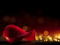 Red silk ribbon flowing gracefully against dark background with golden bokeh lights creating elegant festive atmosphere for luxury celebrations.