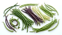 Fresh green and purple string beans arranged on white background, isolated for culinary, cooking, recipe, and food design projects.