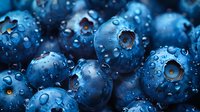 Fresh ripe blueberries with water drops macro photography. Natural organic berries close-up showing texture and juicy surface in dark blue tones.