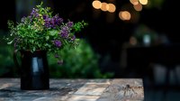 Purple wildflowers in black ceramic vase on rustic wooden table outdoors with soft bokeh lights and natural garden background creating moody atmosphere.