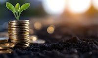 Green plant seedling growing from stack of golden coins in rich soil symbolizing financial growth, investment success, and sustainable prosperity concepts.