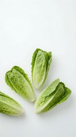 Fresh romaine lettuce hearts arranged on white background for healthy cooking and salad preparation in modern kitchen.