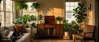 Cozy living room interior with houseplants, wooden furniture, natural sunlight streaming through windows creating warm atmosphere for home decor.