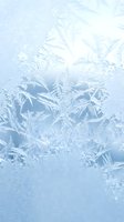 Delicate frost patterns create intricate crystalline formations on glass surface with soft blue tones and natural ice textures for winter seasonal designs.