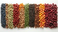 Colorful rows of various dried berries, nuts, seeds and spices arranged in parallel lines on white background, creating vibrant natural food pattern.