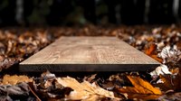 Rustic wooden plank surrounded by fallen autumn leaves on forest ground, natural lighting creates dramatic shadows on rough wood grain texture.