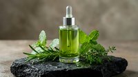 Green herbal essential oil in glass dropper bottle with fresh mint leaves and herbs on dark stone surface for natural skincare and aromatherapy treatments.