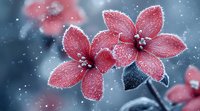 Delicate pink flowers covered in sparkling frost crystals against blurred winter background, creating magical seasonal nature macro photography.